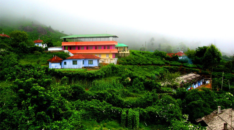 Reasons Why People Love Munnar Welcome To Traveling To World The Smooth Way To World Discovery 5867